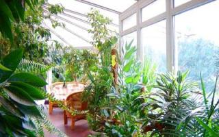Невероятно красивый зимний сад в доме и квартире: примеры и советы от специалистов