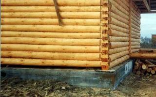 Пропитки древесины и способы защиты деревянных построек на даче